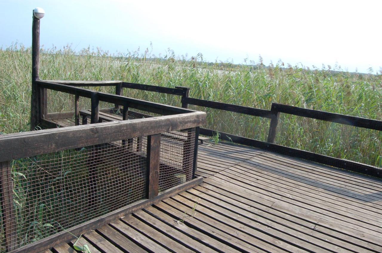28 And 29 The Bridge Lejlighed Saint Lucia Estuary Eksteriør billede